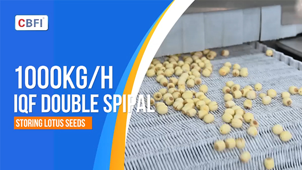 เครื่องแช่แข็งด่วนแบบเกลียวคู่ กำลังการผลิต 1 ตันต่อชั่วโมง สำหรับเมล็ดบัว